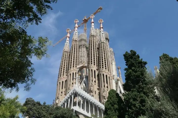 Top Things to Do and See in Barcelona