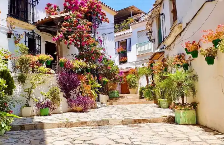 Explore Estepona: A Coastal Gem on the Costa del Sol
